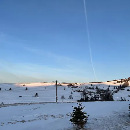 Daniel Domek alpejski *