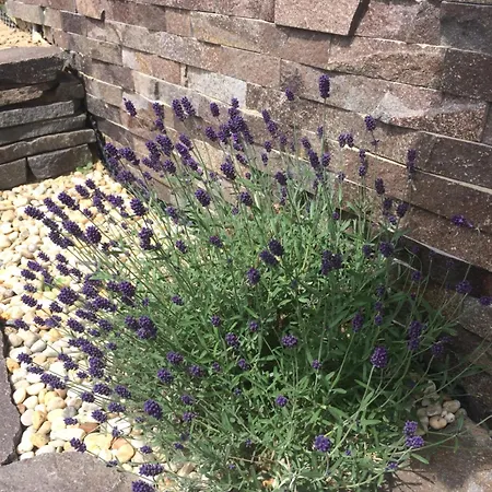 Chalet Daniel Ždiar