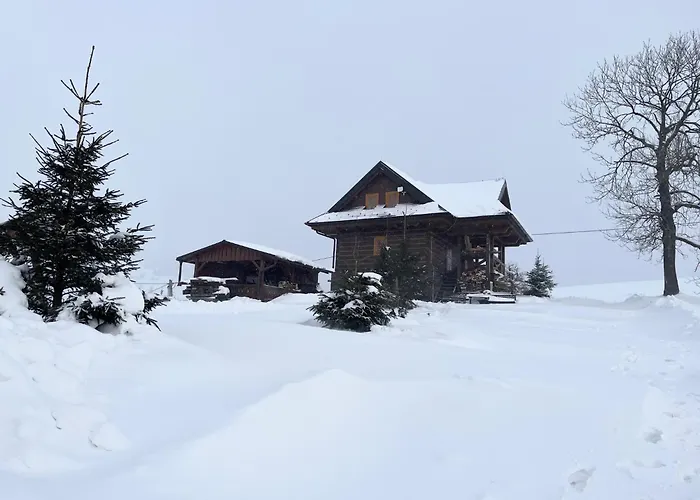 Daniel *